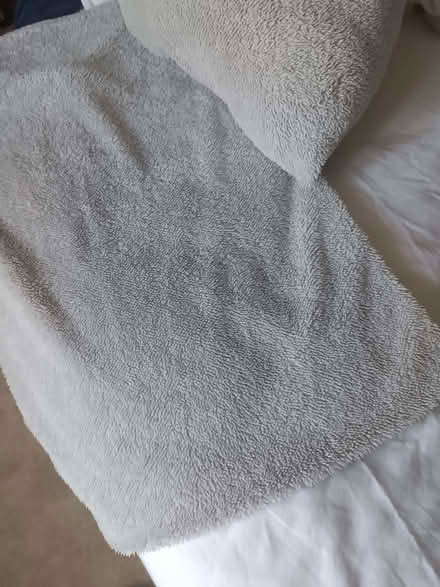 Photo of free Teddy Bedding (The Grange Estate SG6) #1