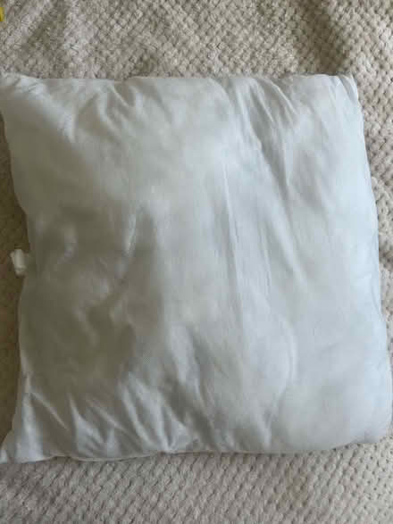 Photo of free Pillow (Hammersmith W6) #1