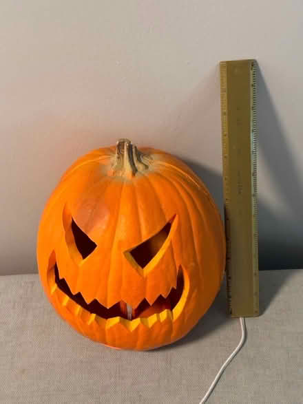 Photo of free Jack o lantern (Westmont il) #2