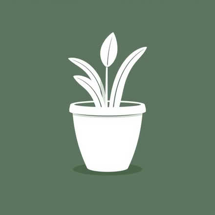Photo of Medium Tall plant pot (Not basic) (Weston BA1) #1