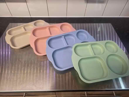 Photo of free Plastic tray plates x 4 (Chester CH1) #1