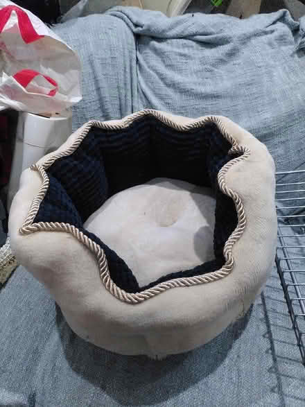 Photo of free Cat Basket / bed (Surrey Quays SE16) #1
