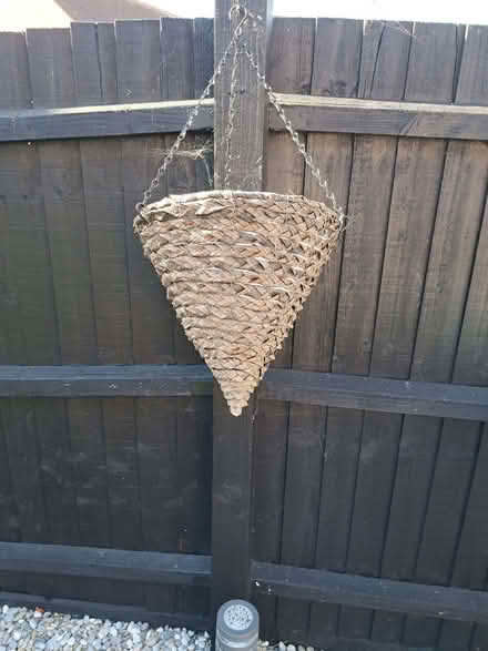 Photo of free Hanging Baskets (Heybridge CM9) #1