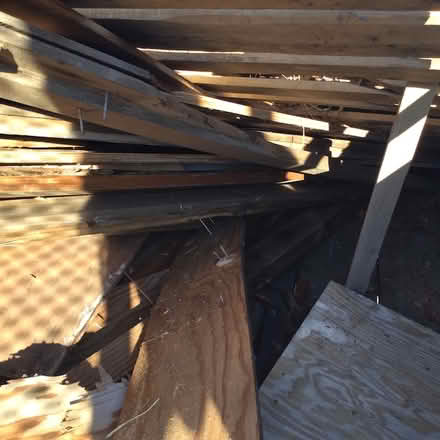 Photo of free scrap wood (Near Zoo) #3