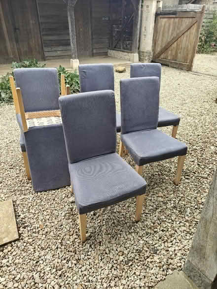 Photo of free 6 IKEA dinning chairs (wick BS30 doynton) #1