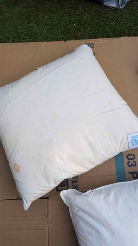 Photo of free 2 duck feather cushion pads 45x45cm (The Camp AL4) #3