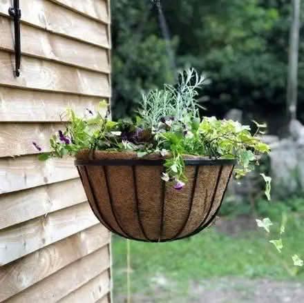 Photo of Black iron hanging basket (Penrith CA11) #1