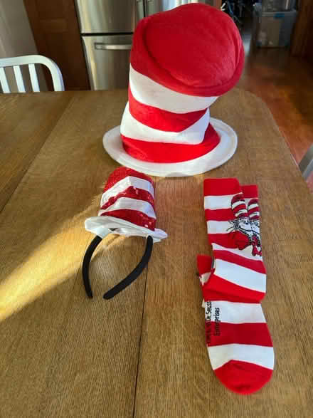 Photo of free Dr. Seuss Hat, Socks, Tie, Headband (Near 11 and Woodward) #1