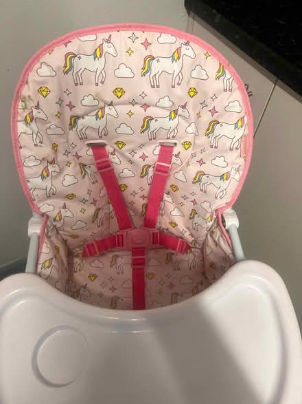 Photo of free Girls high chair (Whins of Milton FK7) #2