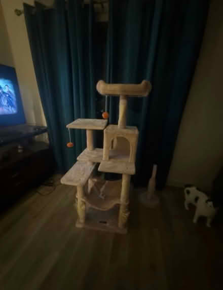 Photo of free Cat tower in good condition (Camden NW1) #3