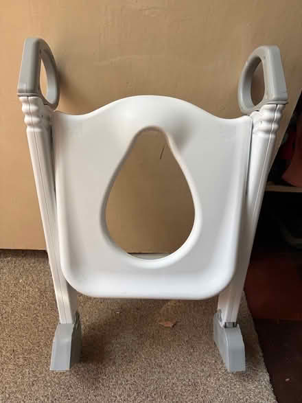Photo of free Toddler toilet steps & seat (Bletchingley RH1) #1