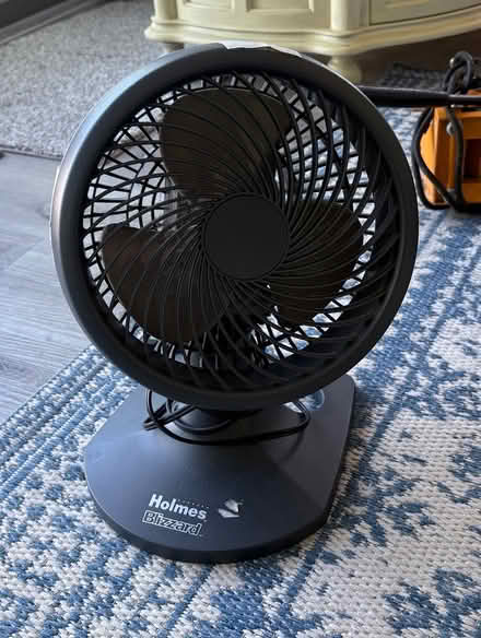 Photo of free Fan (Rumson) #1