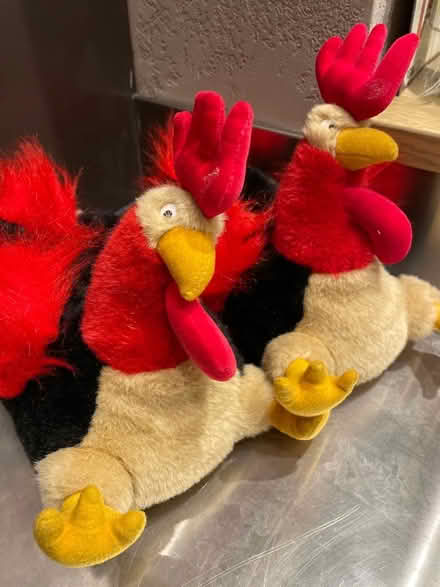 Photo of free Adult size uk 4/5 slippers (St Albans AL3) #1