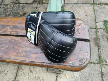 Photo of free Boxing gloves (Stinchcombe GL11) #1