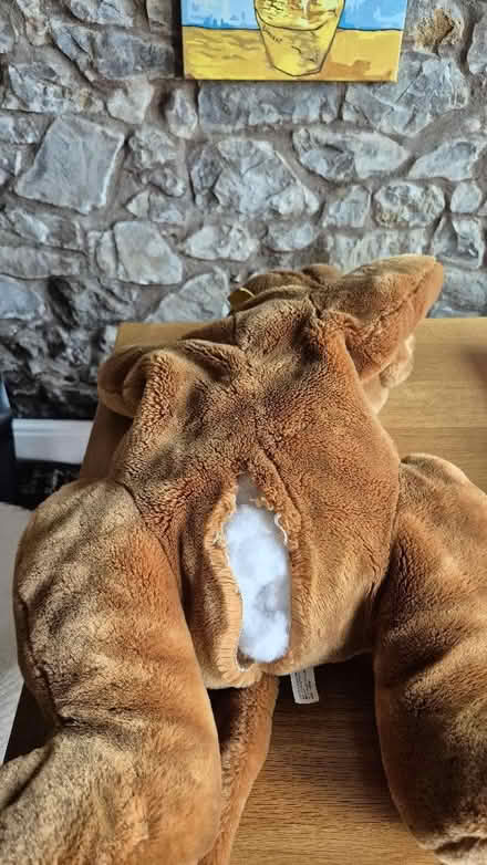 Photo of free Scooby Doo (Worle BS22) #2