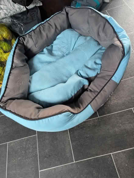 Photo of free Padded dog bed (Wigton CA7) #1