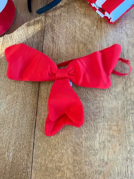 Photo of free Dr. Seuss Hat, Socks, Tie, Headband (Near 11 and Woodward) #2