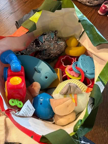 Photo of free Bag of infant toys (Trinidad NE) (Trinidad) #1