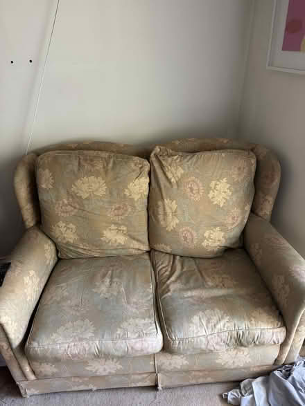 Photo of free 2 and 3 person sofa (Penzance TR20) #2