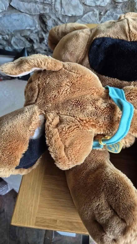Photo of free Scooby Doo (Worle BS22) #3
