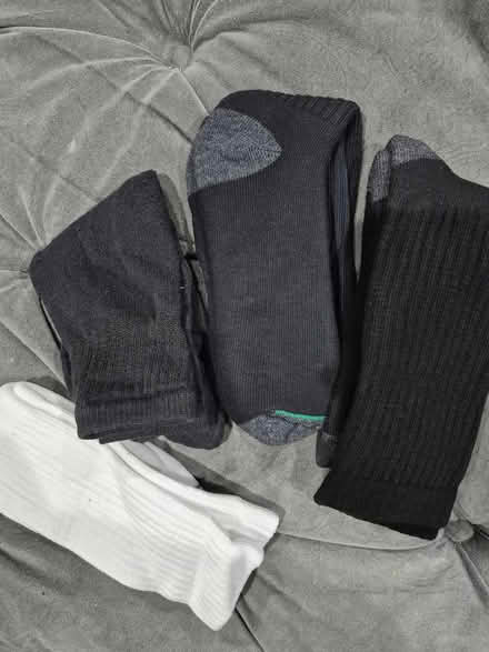 Photo of free Socks (Bowie) #2