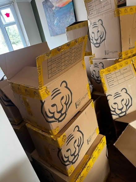 Photo of free packing boxes need to go today (SK3 Stockport) #1