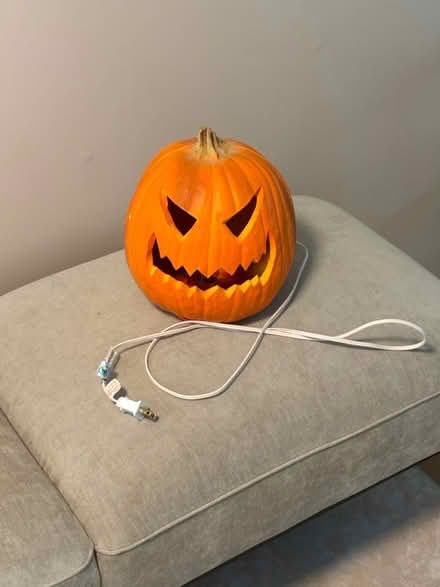 Photo of free Jack o lantern (Westmont il) #1