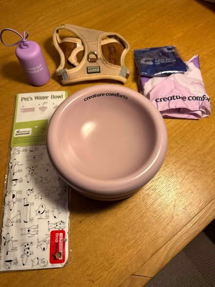 Photo of free Ceramic dog bowl + accessories (Balham / Clapham SW12) #1