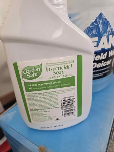 Photo of free Insecticide soap (Glenview near Northbrook) #1