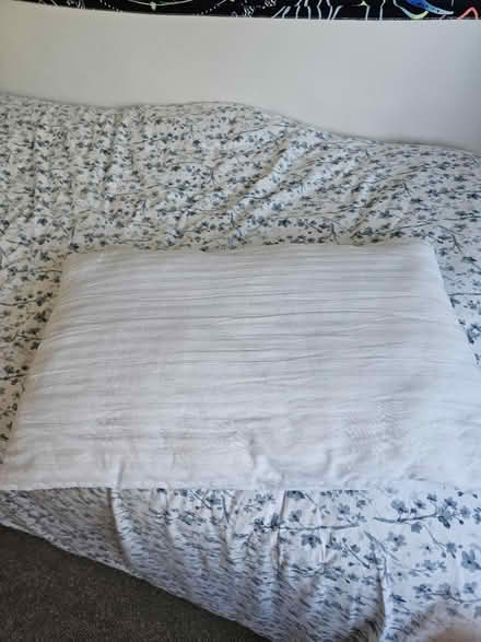 Photo of free Pillow (Langney Point BN23) #1