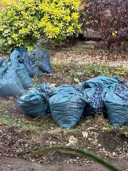 Photo of free Bags of loose stones (Paulton BS39) #2