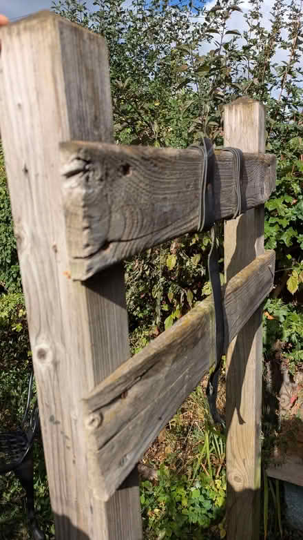 Photo of free Wooden posts (Mousehold NR3) #2