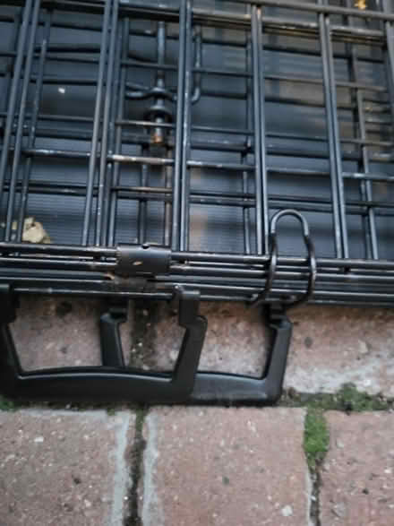 Photo of free Large Dog Crate (Elmvale Acres) #2