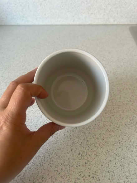 Photo of free Small ceramic flower pot (Technology Drive CV21) #2