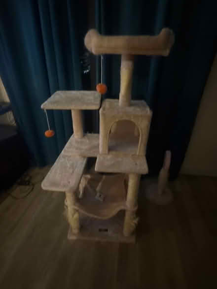 Photo of free Cat tower in good condition (Camden NW1) #2