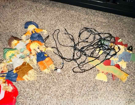 Photo of free Fall/Halloween Decor (Boulder Ridge Apartments) #1