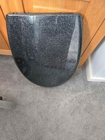 Photo of free Black sparkle toilet seat (Radbrook Green SY3) #1