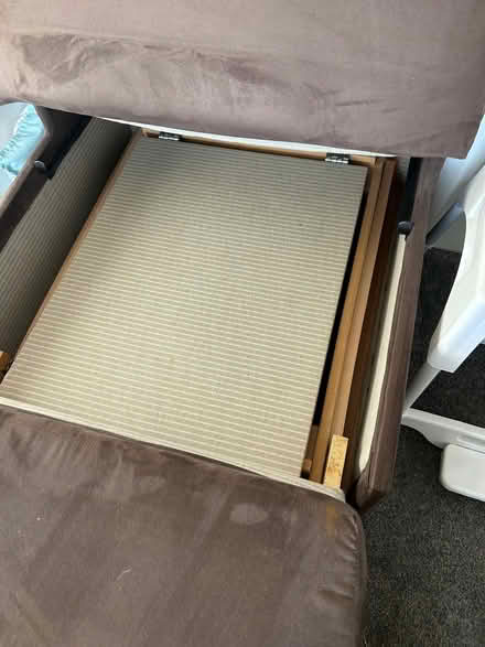 Photo of free Single sofa bed (Westham BN24) #2