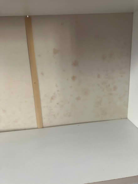 Photo of free Small white book case (Bilton HG1) #2