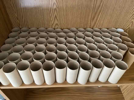 Photo of free Empty toilet paper rolls (Ann Arbor Northwest Side) #1