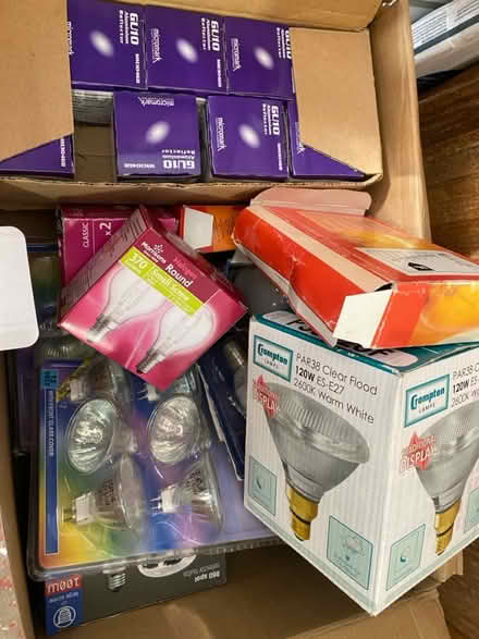 Photo of free Various bulbs (B79) #1