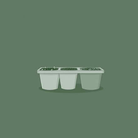 Photo of Plastic Plant Pots and Seed Trays (Wigton CA7) #1