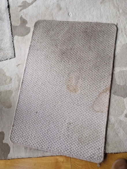 Photo of free Beige carpet sample (Grandpont OX1) #1