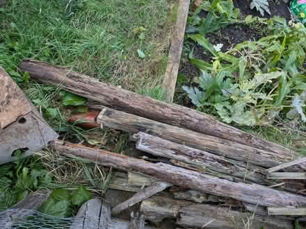 Photo of free bonfire wood (Undercliffe BD2) #1