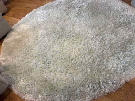 Photo of free Large rug (York, YO24) #4