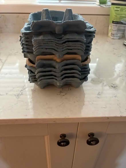 Photo of free Empty egg boxes (Lytham FY8) #1