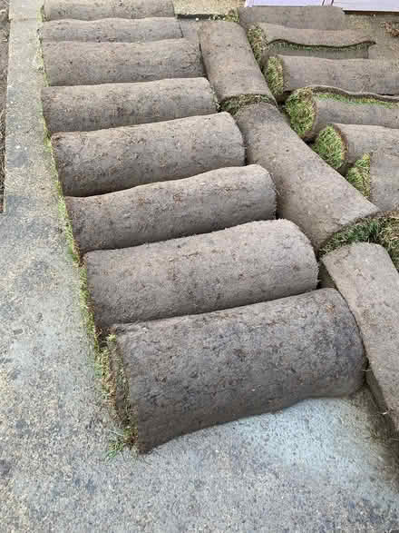 Photo of free Garden turf #2 (Ormesby) #2