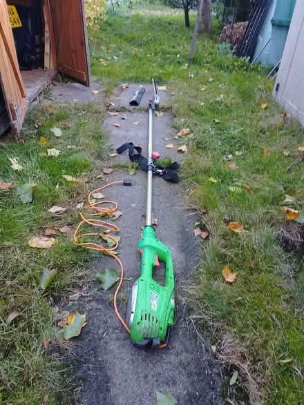 Photo of free Long reach hedge trimmer (Kingstanding B44) #1