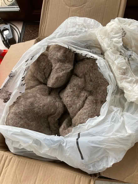 Photo of free Wool packing (Chapel-en-le-Frith SK23) #1