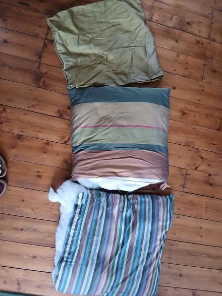 Photo of free Old cushions (High Heaton NE7) #2